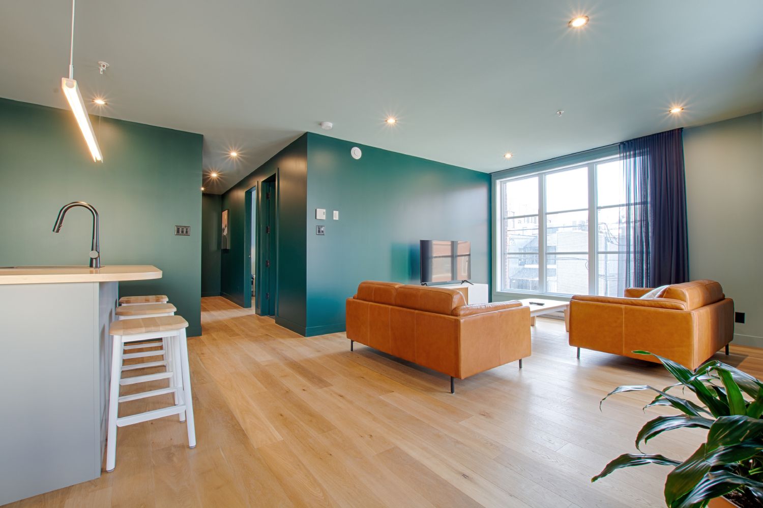 39BED8E9-3E94-4A52-8D7A-6D6BD291A113_1_102_o